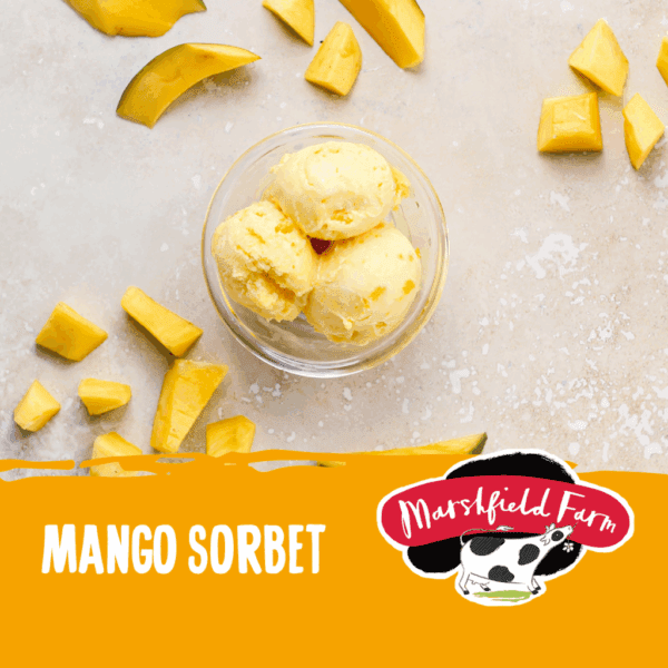 Marshfield Mango Sorbet