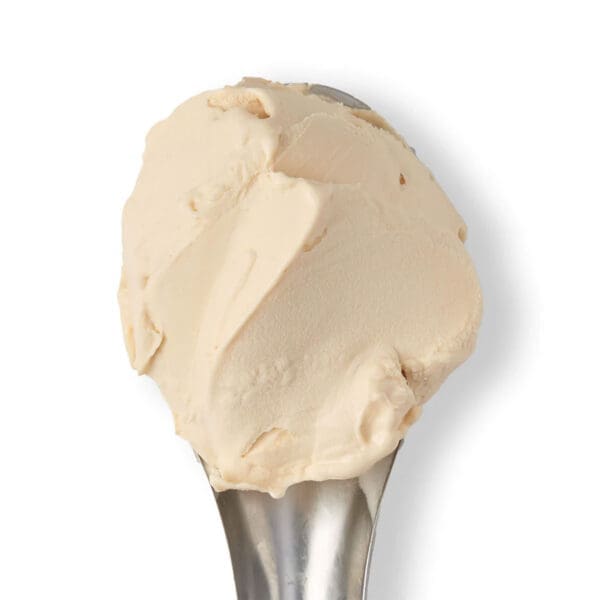 Baboo Salted Caramel Gelato 5lt
