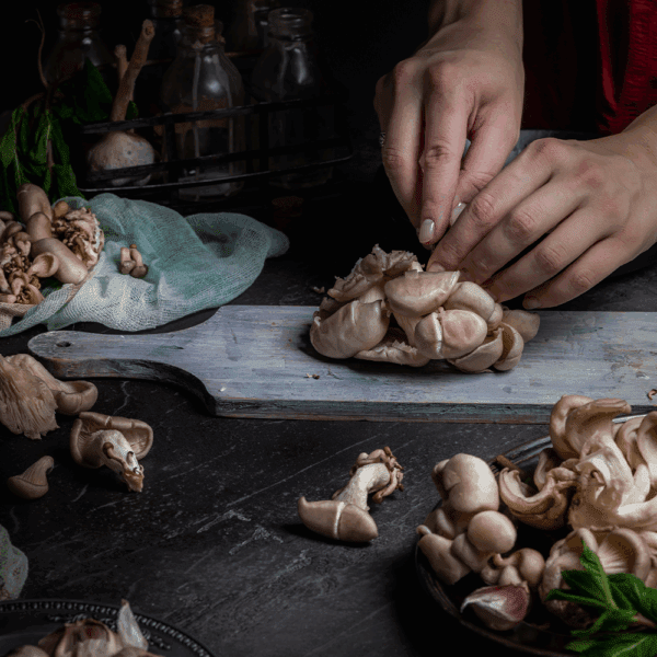 Fresh Wild & Cultivated Mushrooms