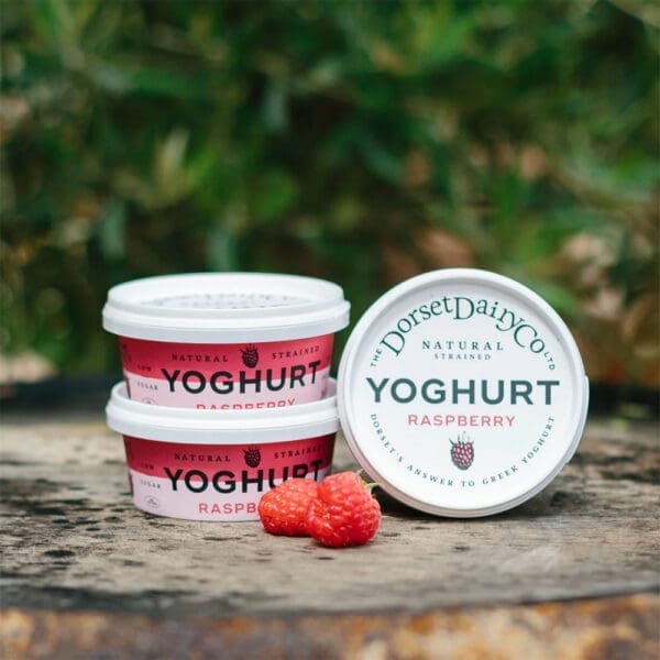 Dorset Strained Raspberry Yogurt