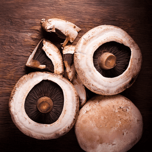Portabello Mushrooms
