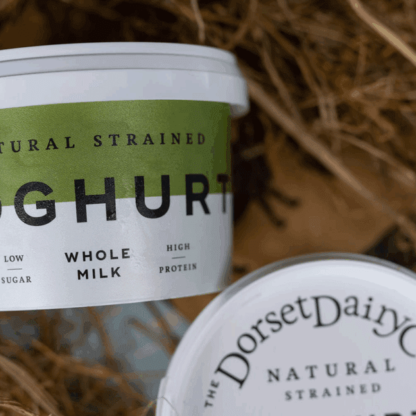 Dorset Whole Milk Strained Yogurt