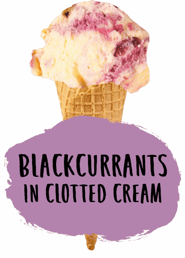 Marshfield Blackcurrant & Clotted Cream - Image 2