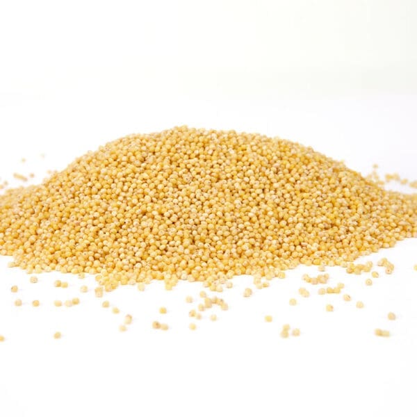 Millet Grain