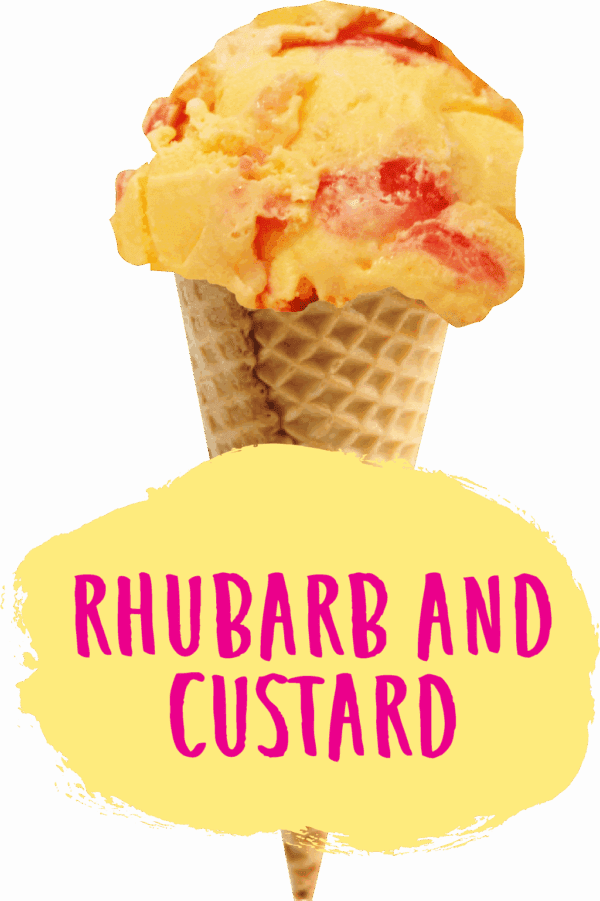 Marshfield Rhubarb & Custard - Image 2