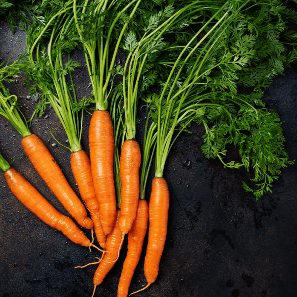 Carrots Green Tops