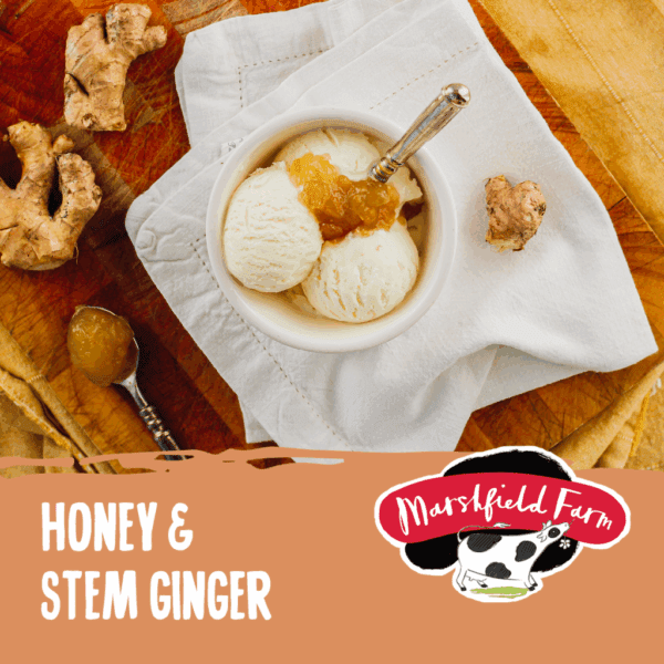Marshfield Honey & Stem Ginger