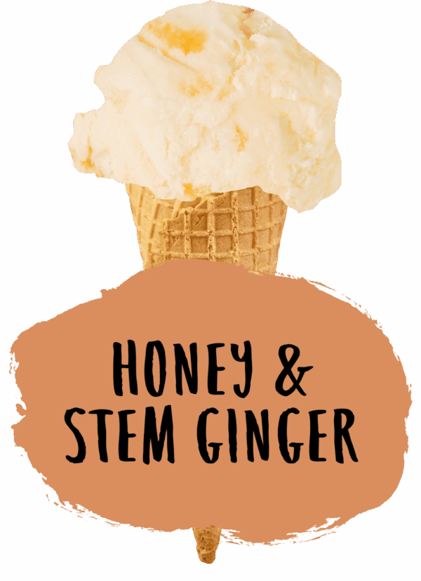 Marshfield Honey & Stem Ginger - Image 2