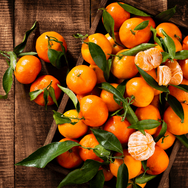 Satsuma Nadorcot