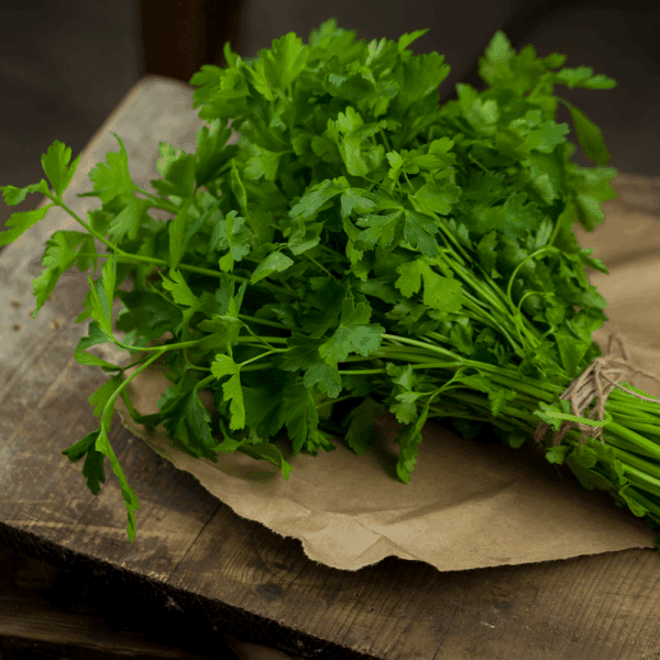 Fresh Flat Parsley