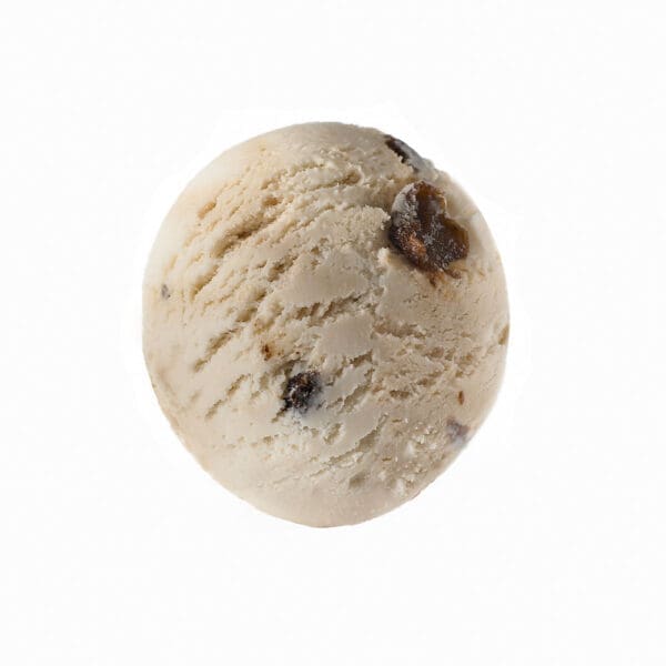 Childhay Manor Rum & Raisin Ice Cream