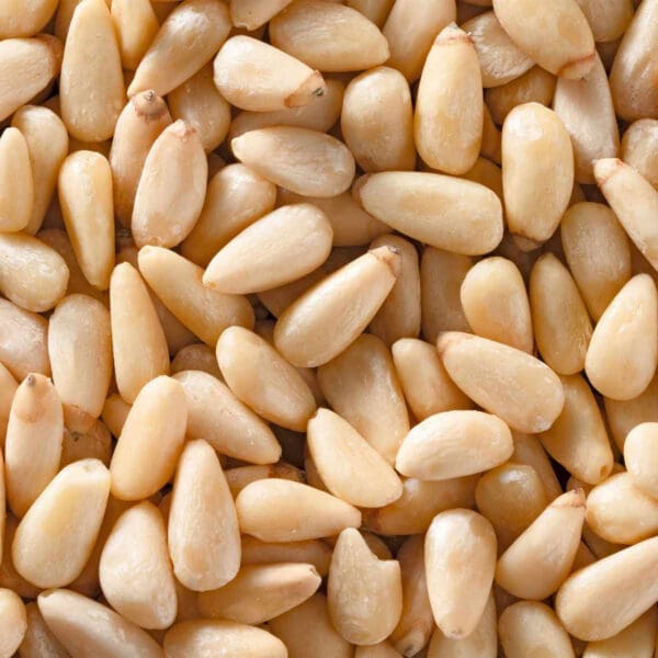 MC Pine Nuts