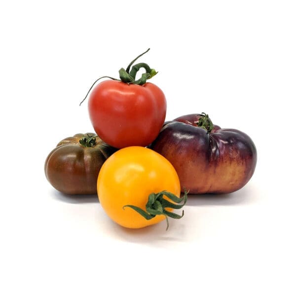 English Heritage Tomatoes