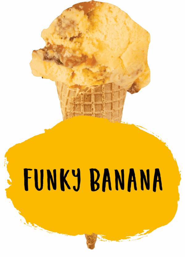 Marshfield Funky Banana - Image 2