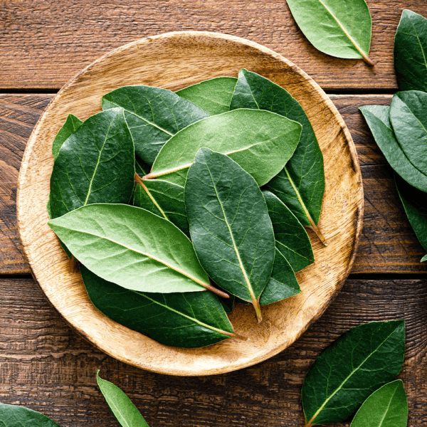 Bay Leaves
