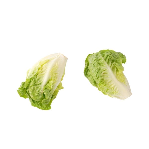 Little Gem (2 pack)