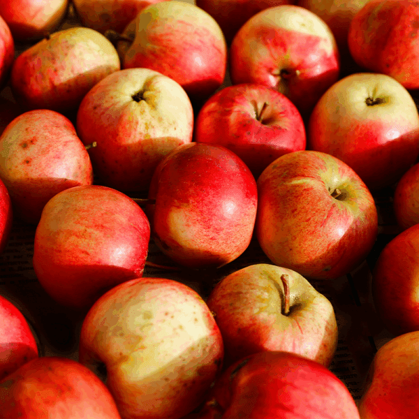 Red Braeburn Apples