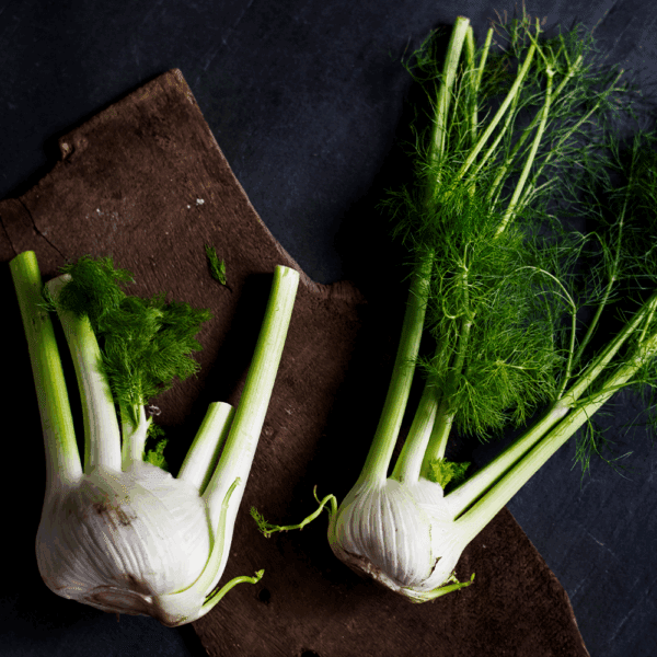 Fennel