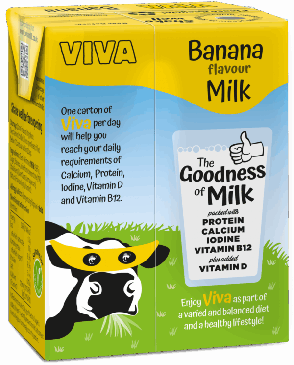 Viva Banana Milk Carton