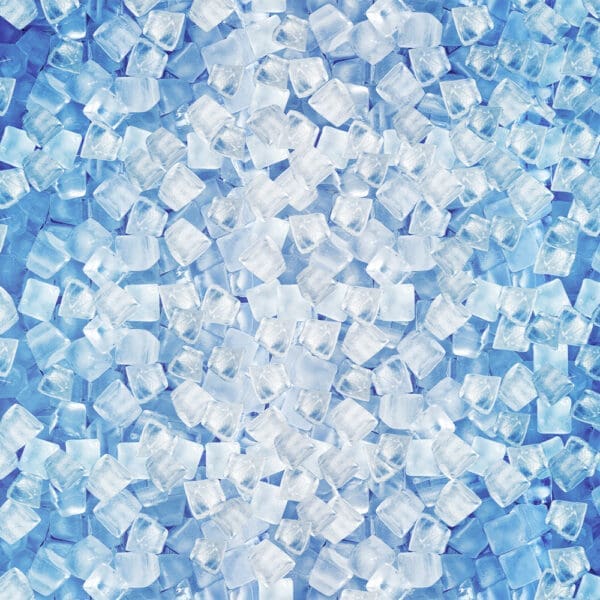 Eskimo Ice Cube