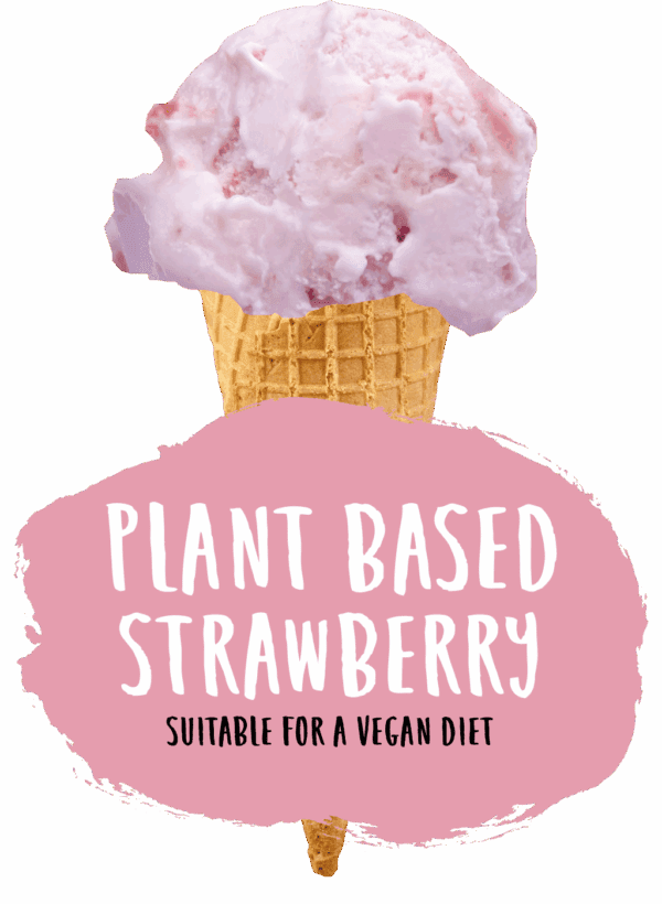 Marshfield Plant Based Strawberry Ice Cream - Image 2