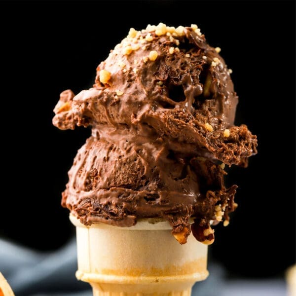 Nutella Ice Cream