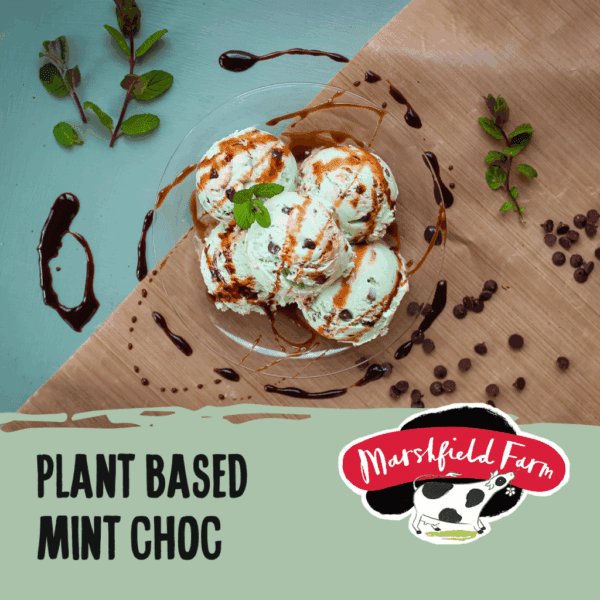 Marshfield Plant Based Mint Choc Chip Ice Cream