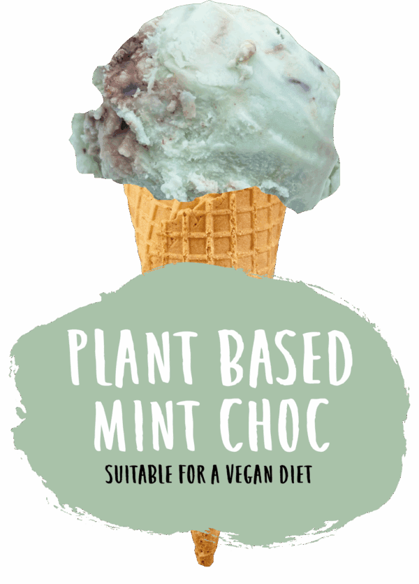 Marshfield Plant Based Mint Choc Chip Ice Cream - Image 2