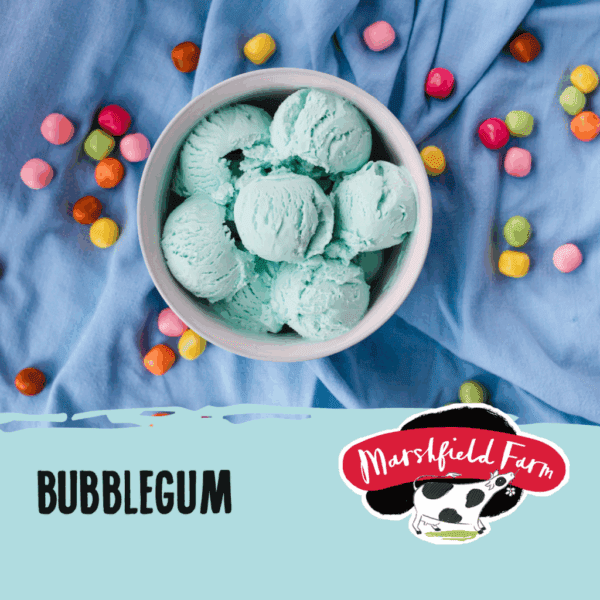 Marshfield Bubblegum