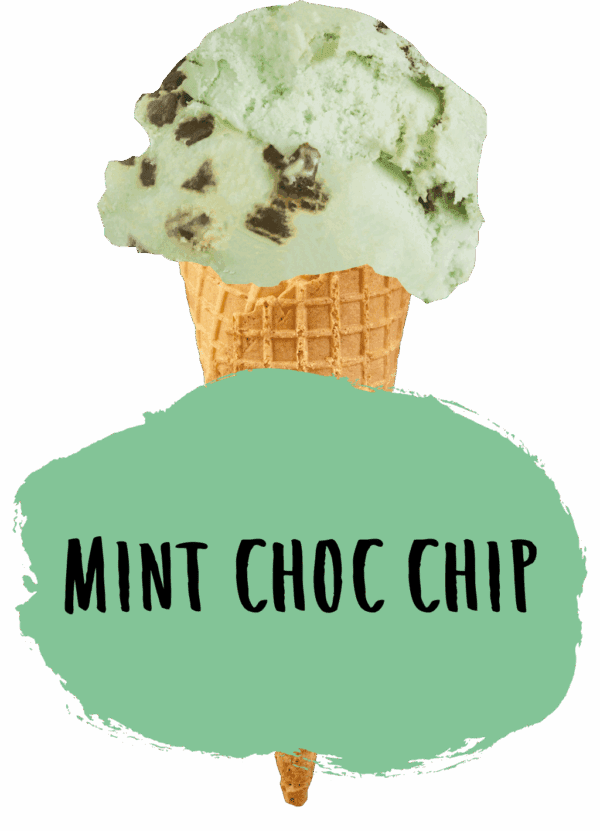 Marshfield Peppermint Choc Chip - Image 2
