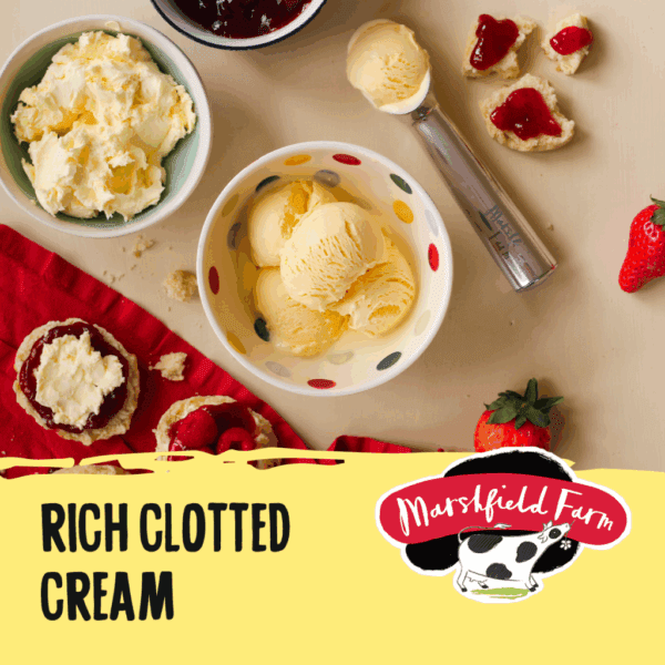 Marshfield Rich Clotted Cream