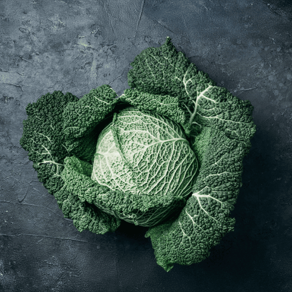 Savoy Cabbage Medium