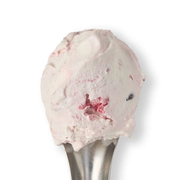 Baboo Raspberry Ripple Gelato 5lt