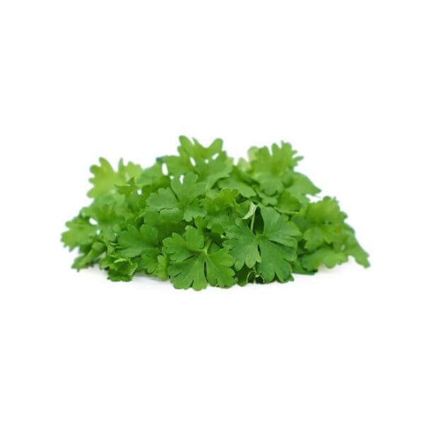 Micro Parsley
