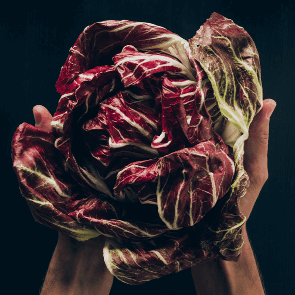 Radicchio