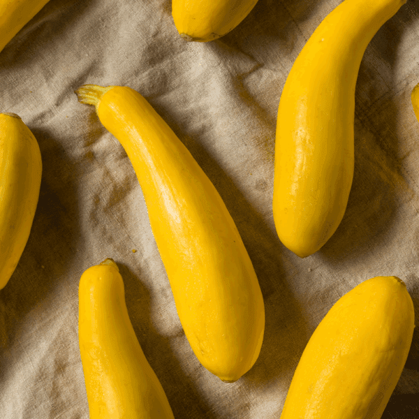 Courgettes Yellow