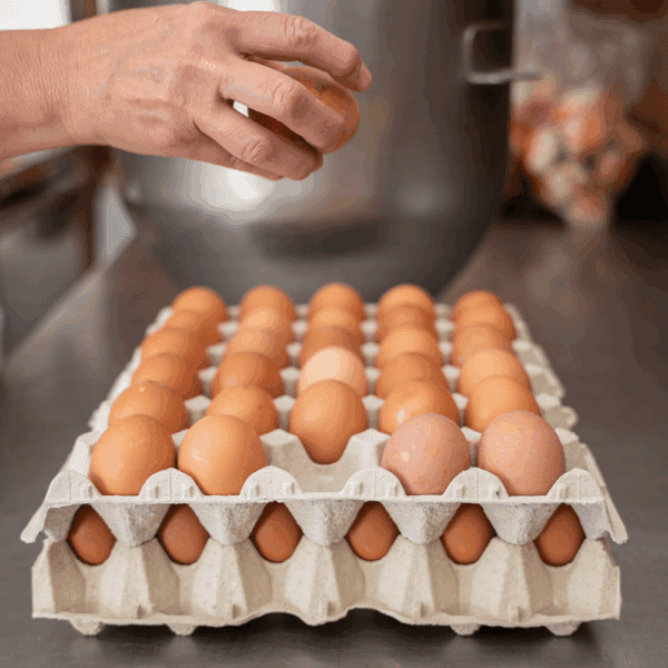 Silverthorne Medium Eggs Free Range