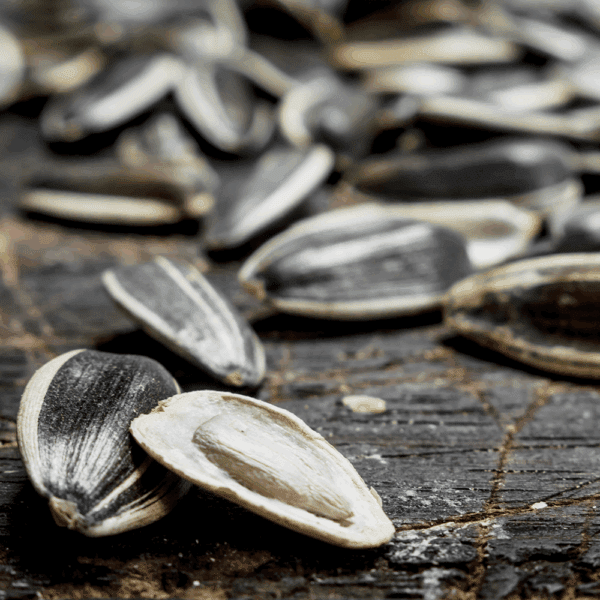 Sunflower Seeds