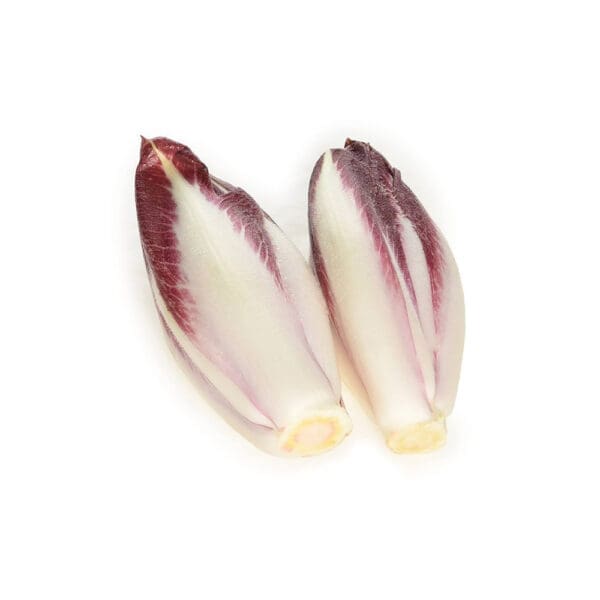 Chicory Red