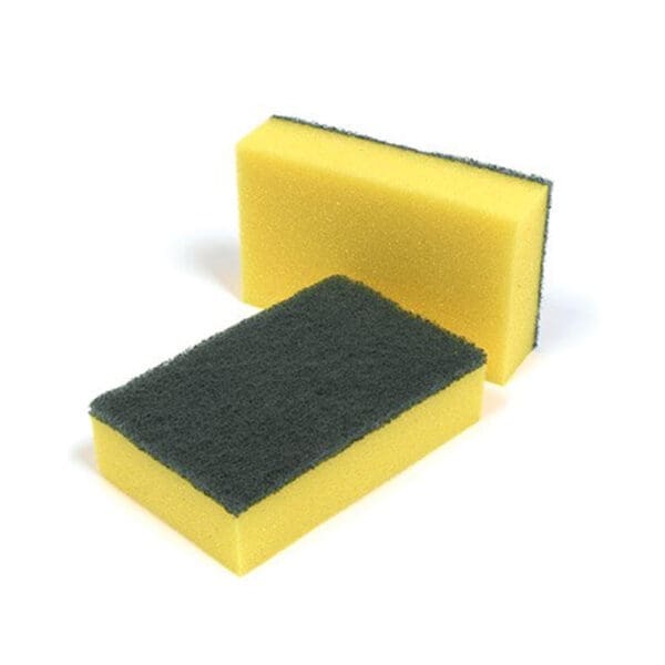 Sponge Scourers