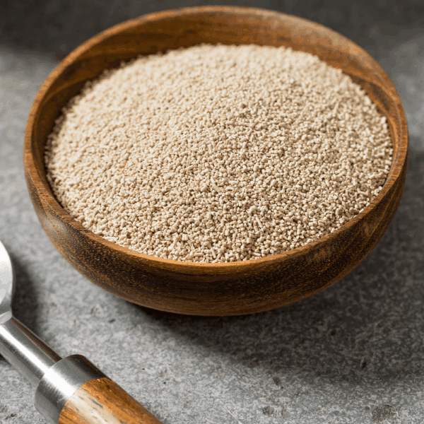 Dried Yeast