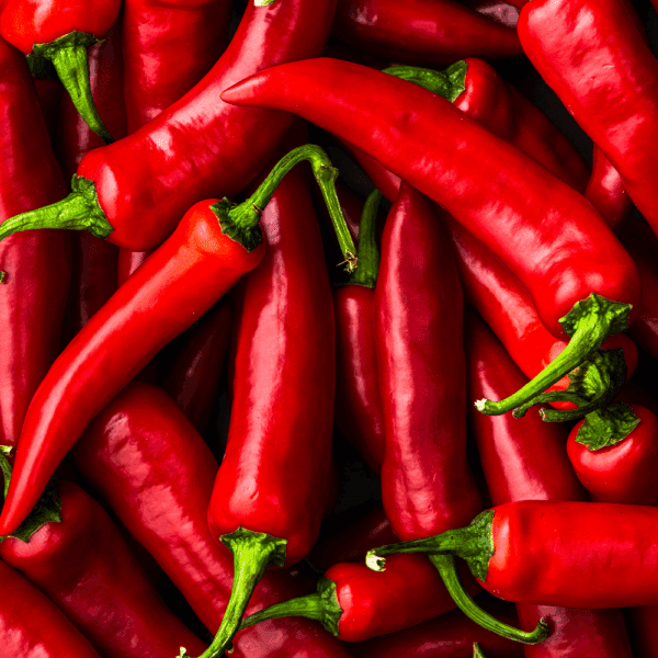 Red Chillies