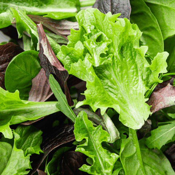 Mixed Baby Leaves - Image 2
