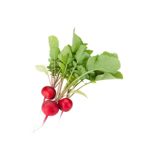 Radishes