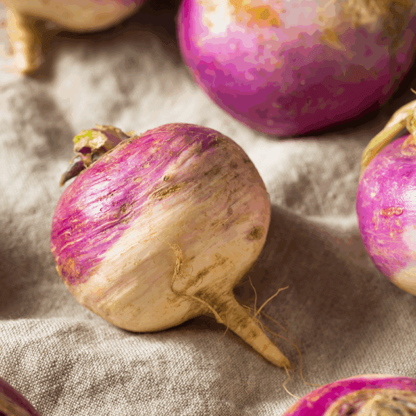 Turnip